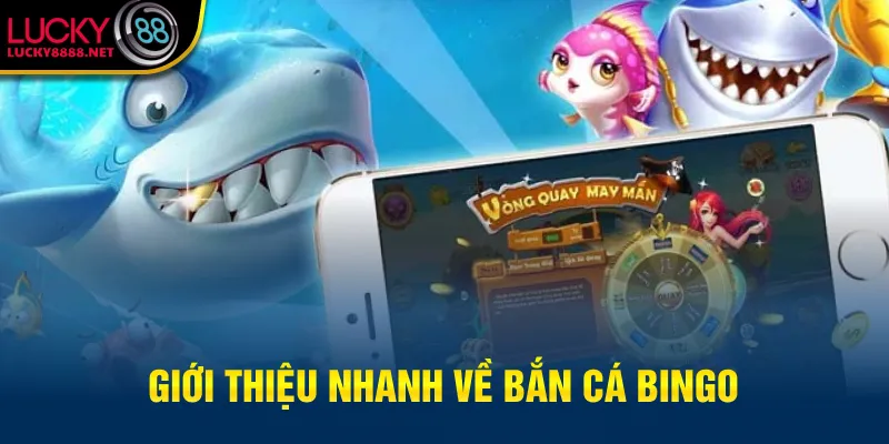 Giới thiệu nhanh về bắn cá Bingo