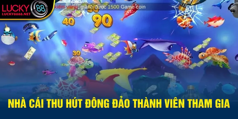 Nhà cái thu hút đông đảo thành viên tham gia
