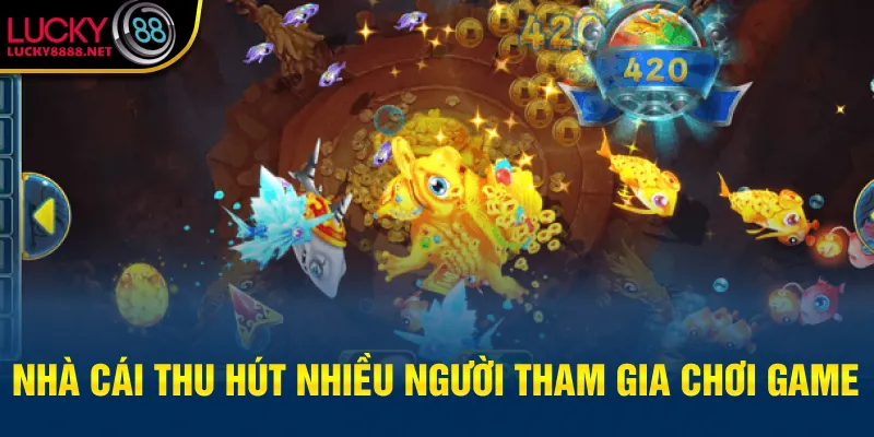 Nhà cái thu hút nhiều người tham gia chơi game